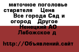 маточное поголовье старателя  › Цена ­ 3 700 - Все города Сад и огород » Другое   . Ненецкий АО,Лабожское д.